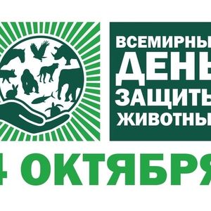 Акция "Мокрый нос"